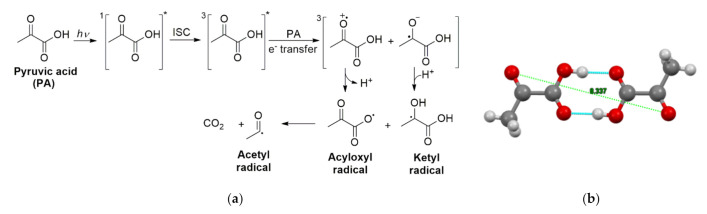 Scheme 8