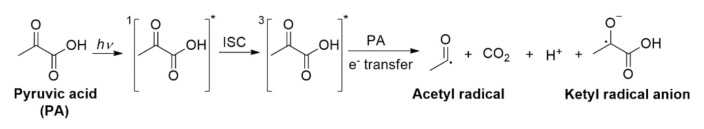 Scheme 7