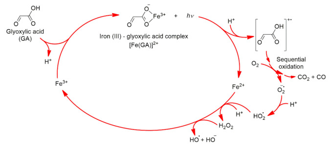 Scheme 5