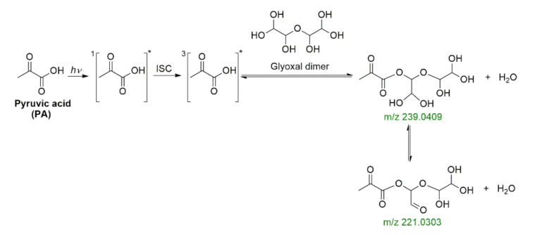 Scheme 12