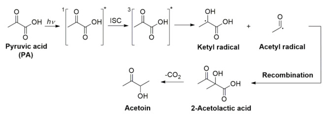 Scheme 6