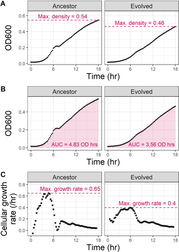 Fig. 2