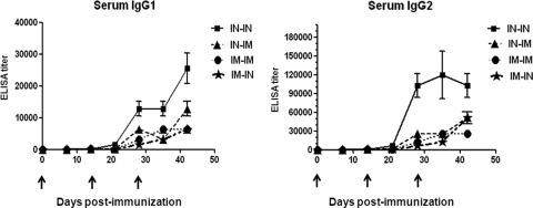 Fig. 11.