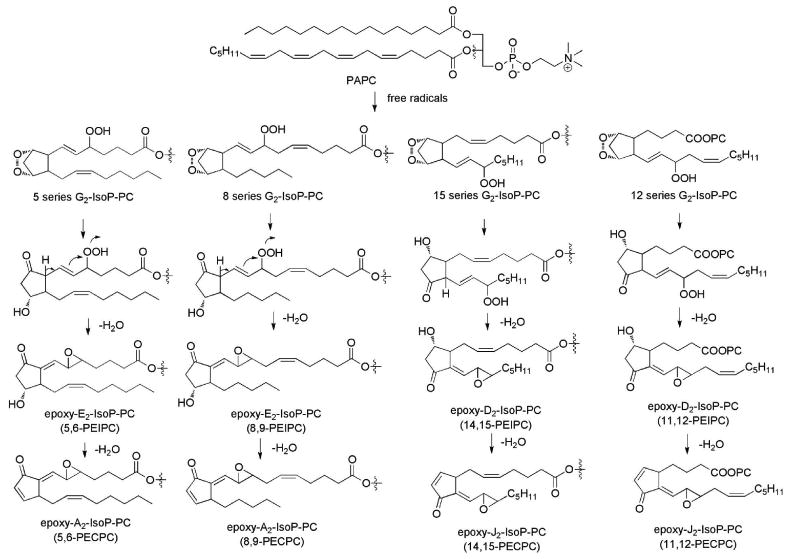 Figure 14