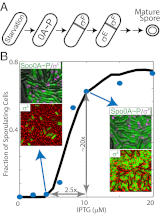 Fig. P1.