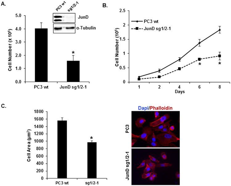 FIGURE 1.