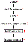 FIGURE 9.