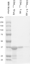 Fig. 2