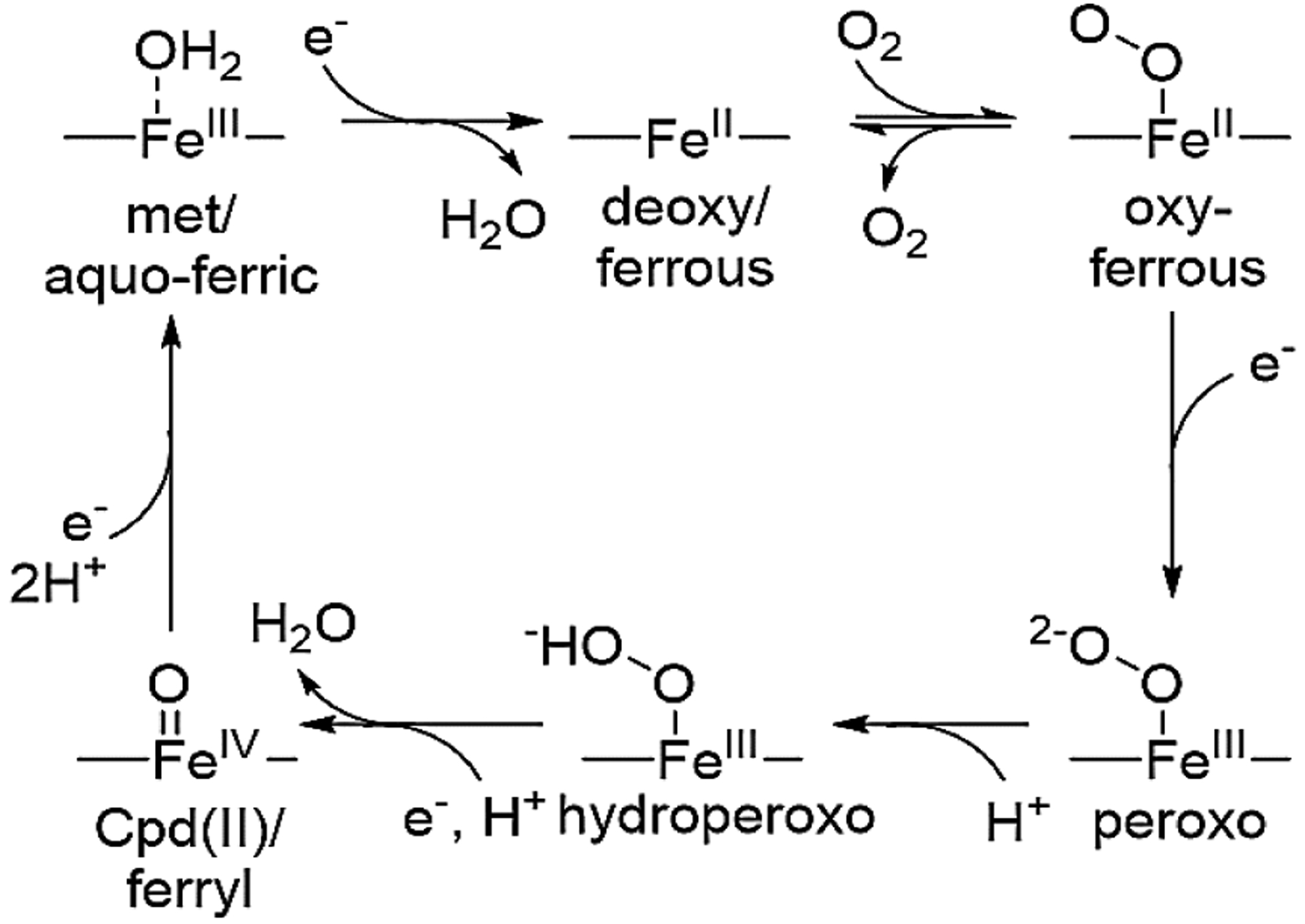 Scheme 1.