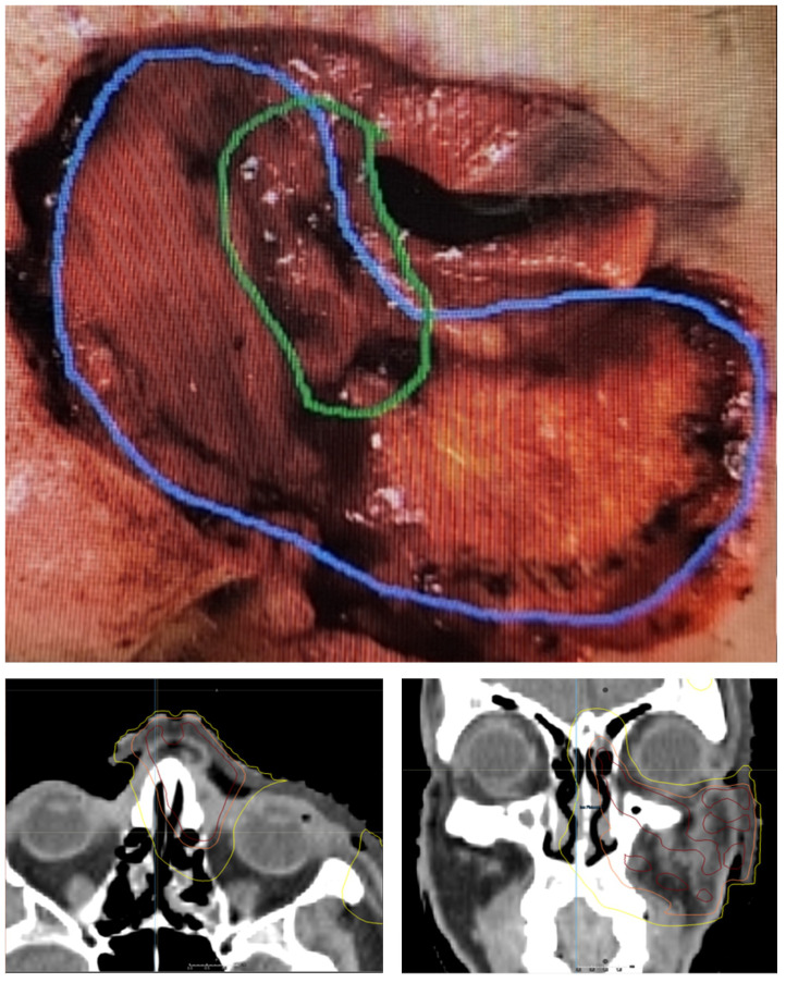 Figure 4