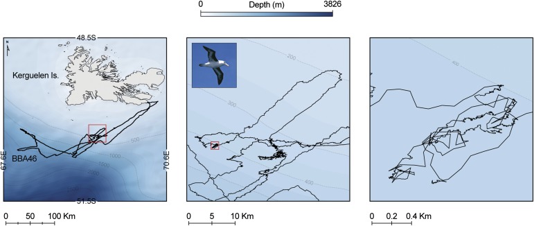 graphic file with name pnas.1301980110unfig02.jpg