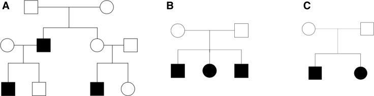 Figure 1