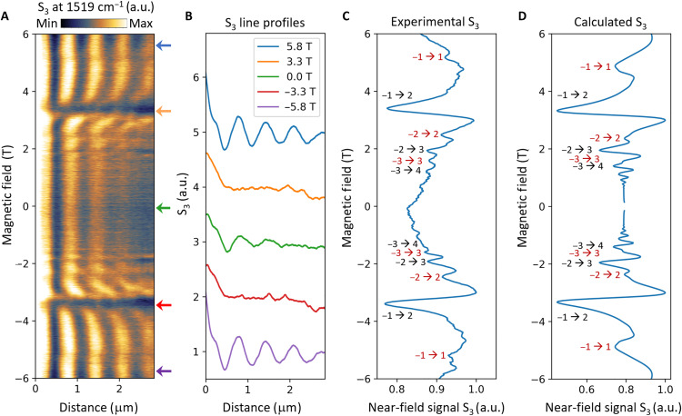 Fig. 3.