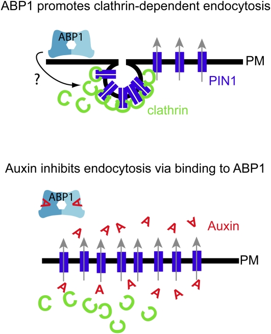 Figure 2.