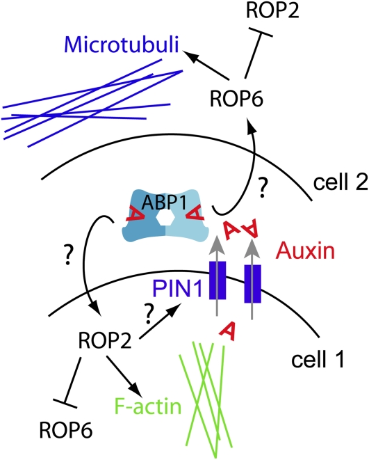 Figure 3.