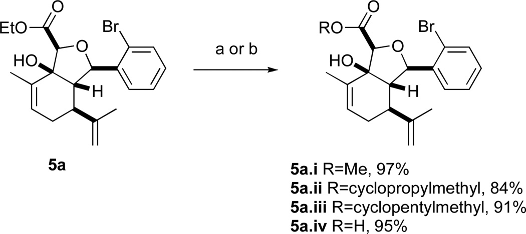 Scheme 2