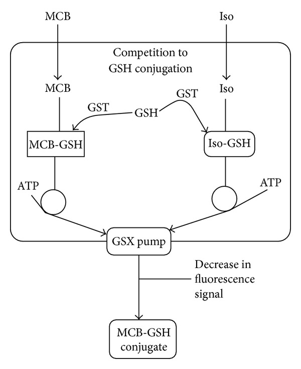 Figure 10