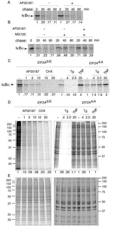 FIG. 7.