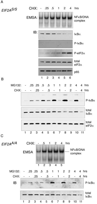 FIG. 6.