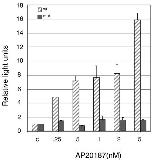 FIG. 3.