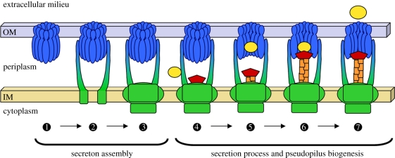 Figure 5.