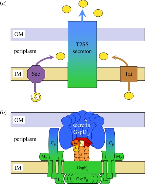 Figure 2.