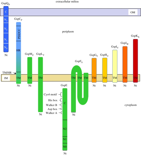 Figure 4.