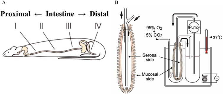 Fig. 2.