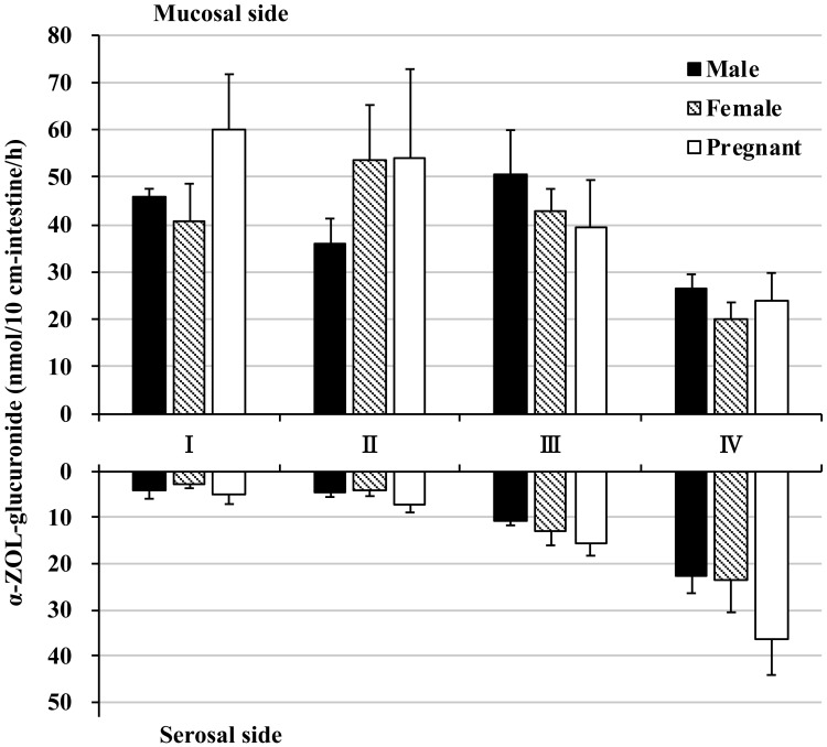 Fig. 6.