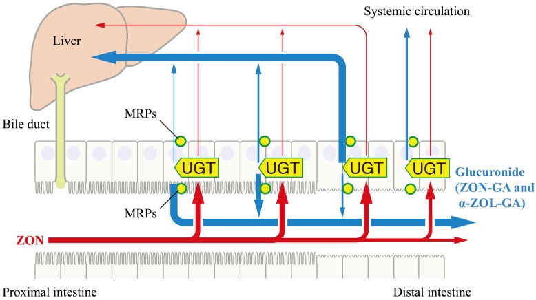 Fig. 8.