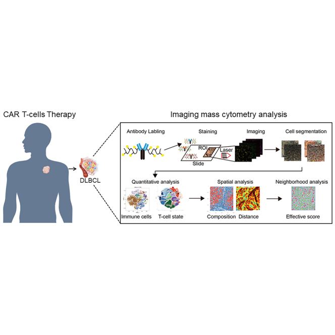 graphic file with name fx1.jpg