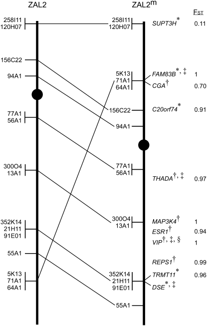 Figure 2.—