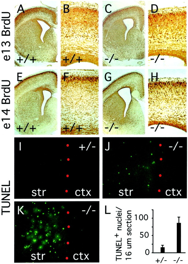 Fig. 11.