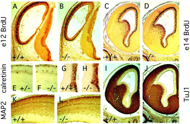 Fig. 10.