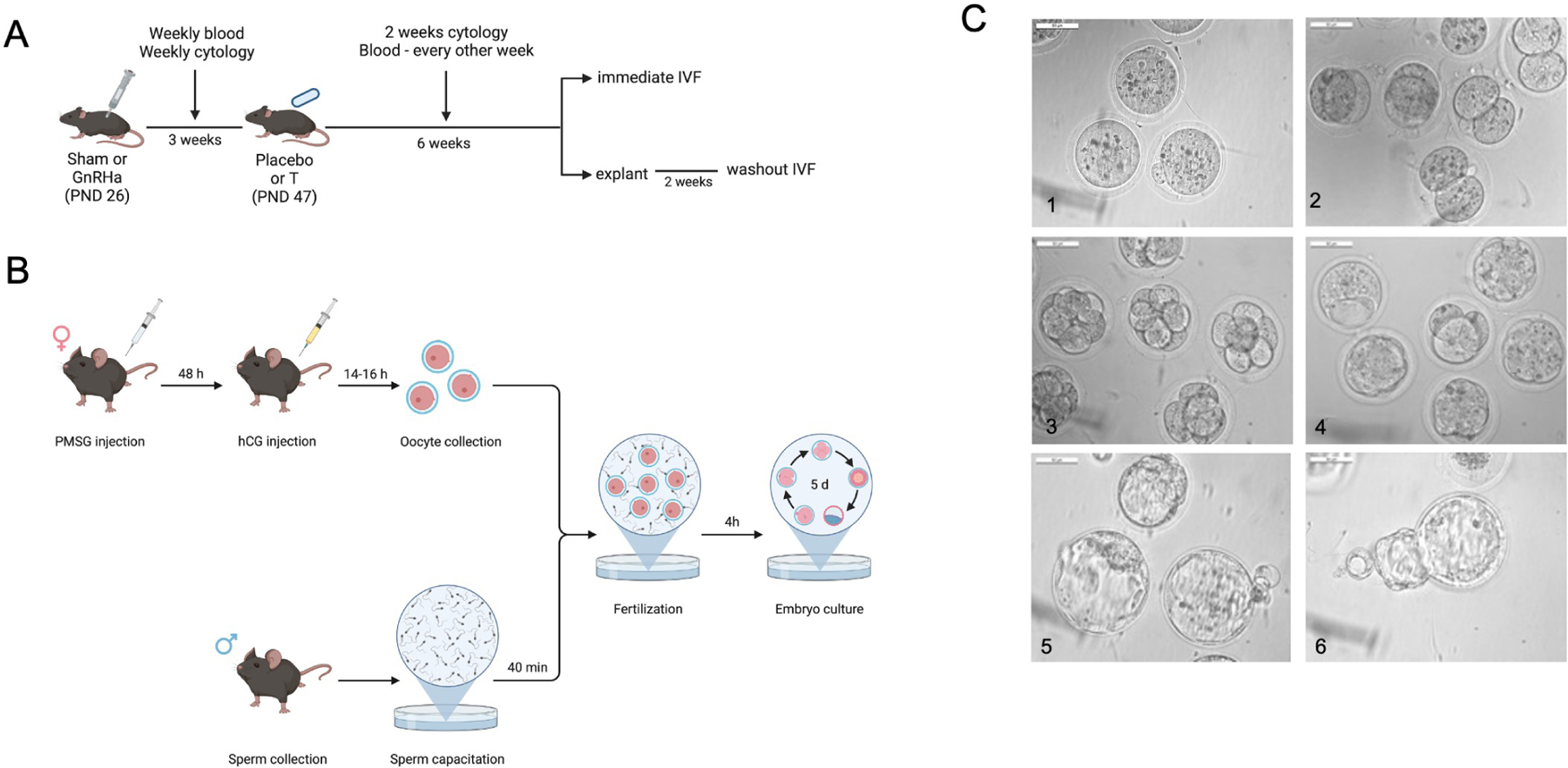 Figure 1)