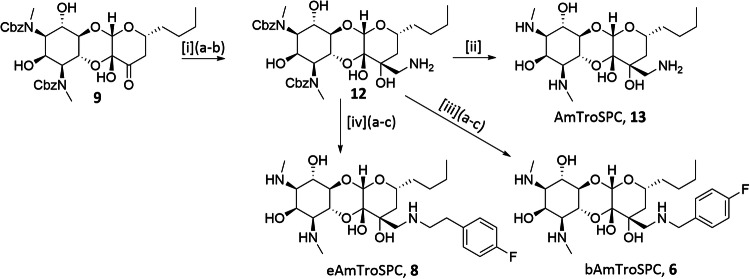 Scheme 2