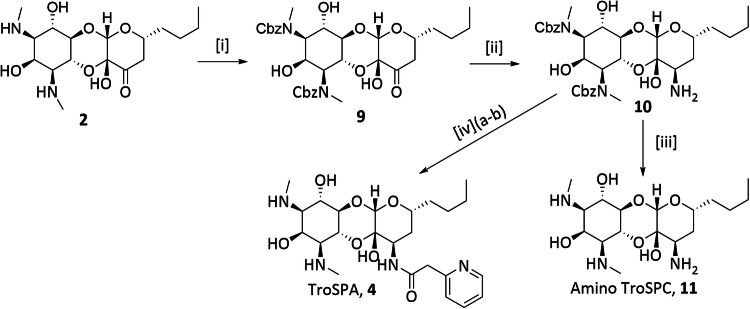 Scheme 1