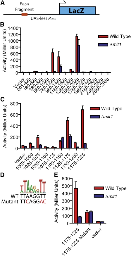 Figure 3 