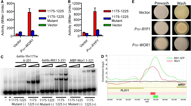 Figure 4 