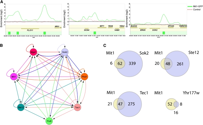 Figure 2 