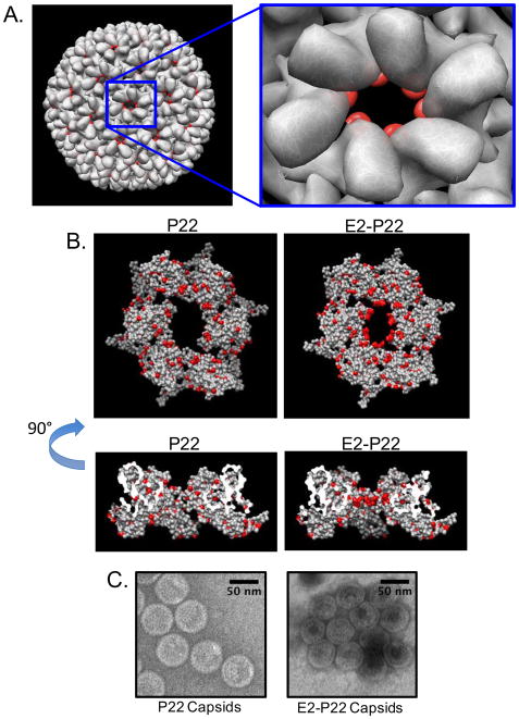 FIG 2