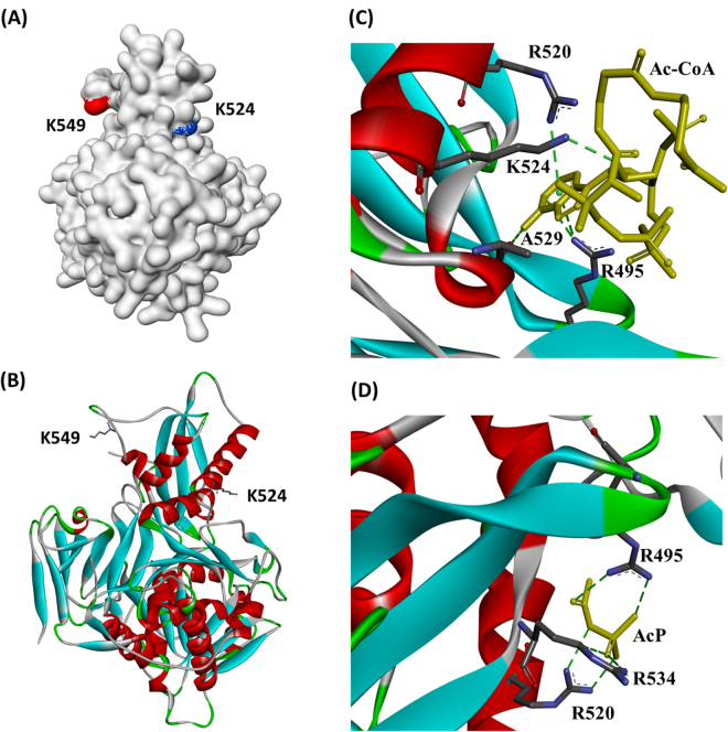 Figure 10