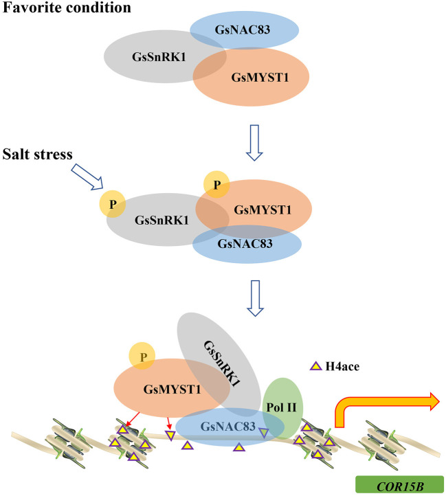 Figure 9