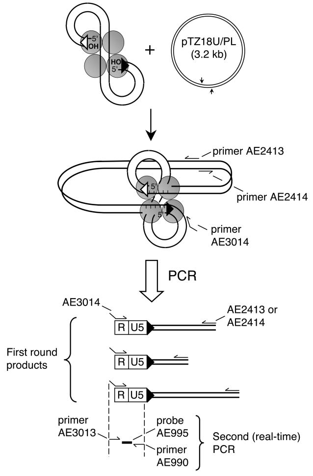 Fig. 5