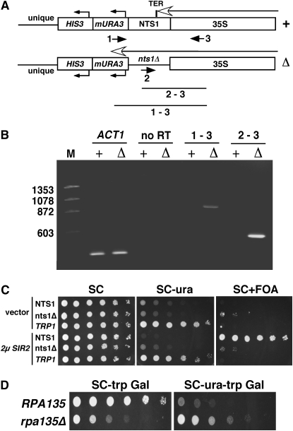 Figure 1.—