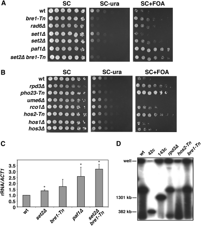 Figure 5.—