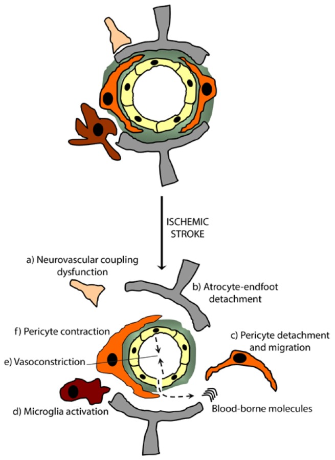 Figure 3.