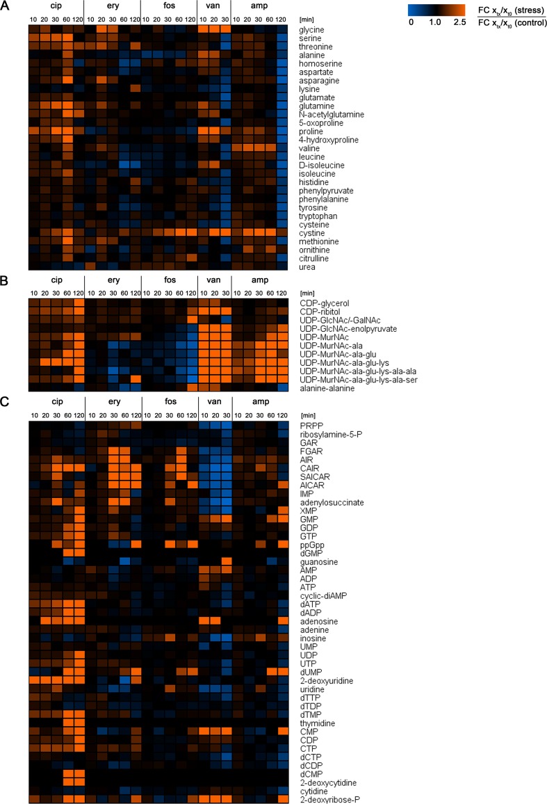 FIG 4