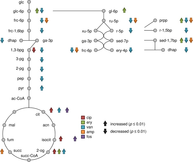 FIG 3