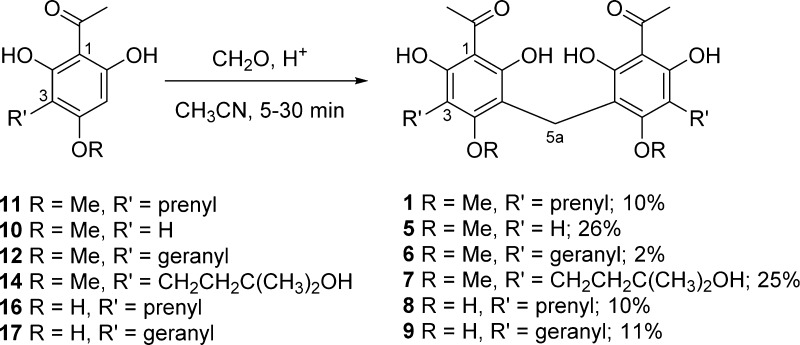 Scheme 2